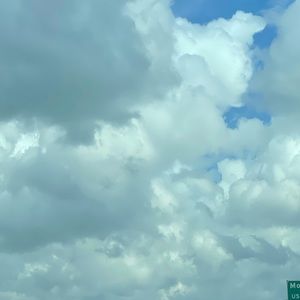 MAKE AN OFFER ON ANY ITEM!